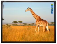 Интерактивная доска 78" ActivBoard Touch 6 касаний, ПО ActivInspire