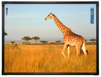 Интерактивная доска 88" ActivBoard Touch, ПО ActivInspire