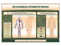 Электрифицированный стенд-тренажер Zarnitza "Остановка кровотечения"