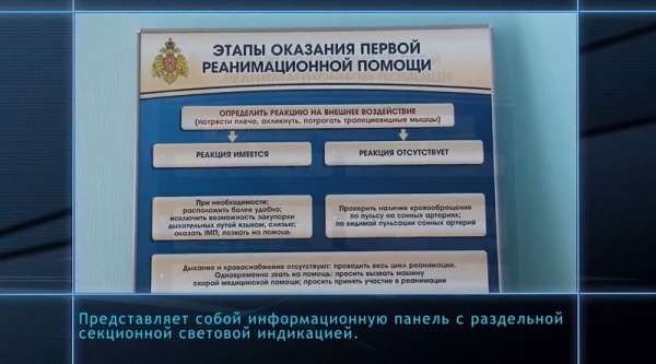 Электрифицированный стенд-тренажер Zarnitza "Этапы оказания первой реанимационной помощи"
