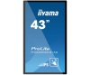 Интерактивная панель Iiyama TF4338MSC-B1AG. Купить по лучшей цене