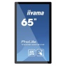 Интерактивная панель Iiyama TF6538UHSC-B2AG. Купить по лучшей цене
