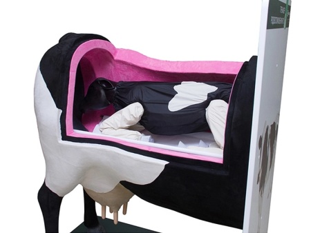 Тренажер родовспоможения КРС Zarnitza