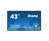 Интерактивная панель Iiyama TF4339MSC-B1AG