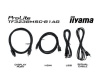Интерактивная панель Iiyama TF3238MSC-B1AG для школ и учебных учреждений
