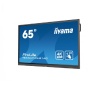 Интерактивная панель Iiyama TE6502MIS-B1AG для школ и учебных учреждений
