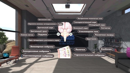 Программное обеспечение "Биология. Виртуальная лаборатория" Modum Lab