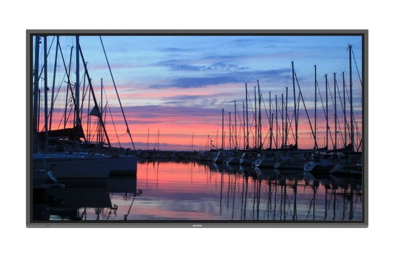 Интерактивная LED панель Newline TruTouch TT-6519IP