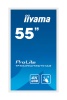 Интерактивная панель Iiyama TF5539UHSC-W1AG. Купить по лучшей цене