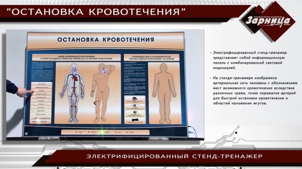 Электрифицированный стенд-тренажер Zarnitza "Остановка кровотечения"