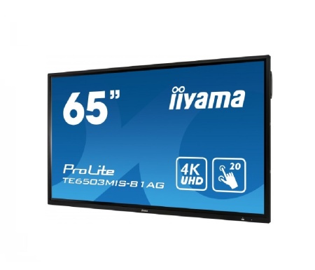 Интерактивная панель Iiyama TE6504MIS-B1AG для школ и учебных учреждений
