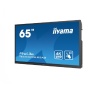 Интерактивная панель Iiyama TE6504MIS-B2AG для школ и учебных учреждений
