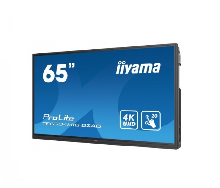 Интерактивная панель Iiyama TE6504MIS-B2AG для школ и учебных учреждений
