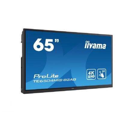 Интерактивная панель Iiyama TE6504MIS-B2AG для школ и учебных учреждений
