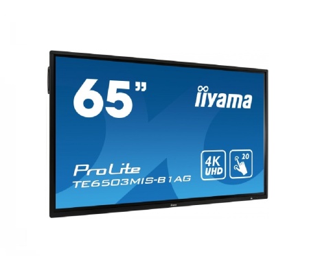 Интерактивная панель Iiyama TE6504MIS-B1AG для школ и учебных учреждений
