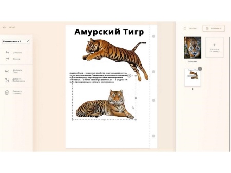 Интерактивная проекционная книга АЛМА «Страницы памяти» - инсталляция в военно-патриотическом оформлении