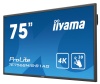 Интерактивная панель Iiyama TE7568MIS-B1AG для школ и учебных учреждений
