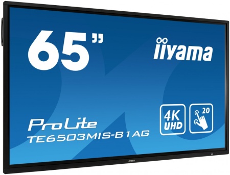 Интерактивная панель iiyama TE6503MIS-B1AG для школ и учебных учреждений
