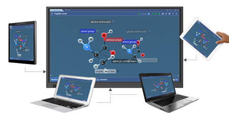 Интерактивная LED панель Newline TruTouch TT-6519RS. Купить по лучшей цене