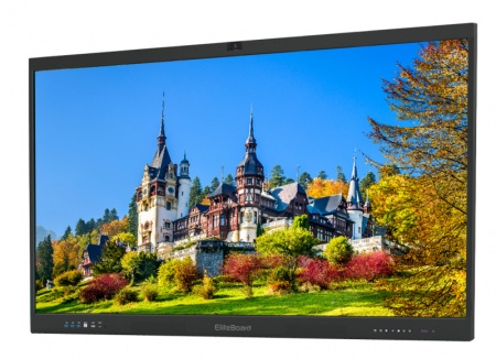 Интерактивный комплекс EliteBoard LR-75UL2IB5-С + Мобильная стойка + OPS PC для «ЦОС». Купить по лучшей цене