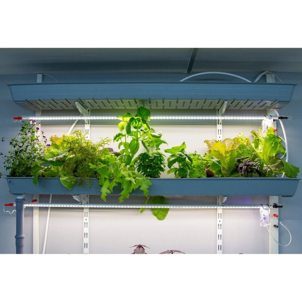 Гидропонная ферма Собираем-урожай «Настенная» для оснащения агротехнологического класса